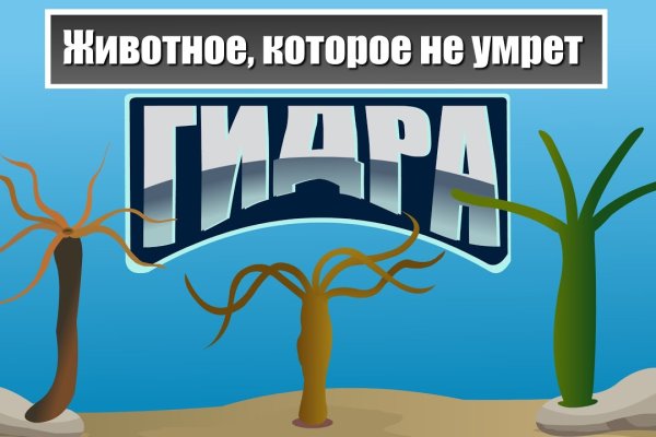 Мега даркнет онион