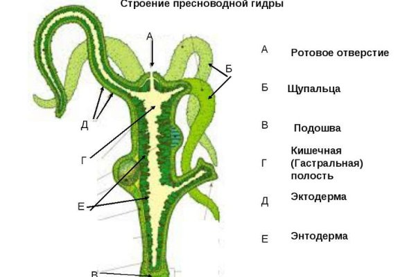 Мега площадка вход