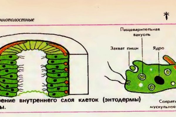 Официальная ссылка мега