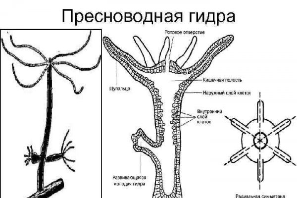 Как попасть на мега darknet